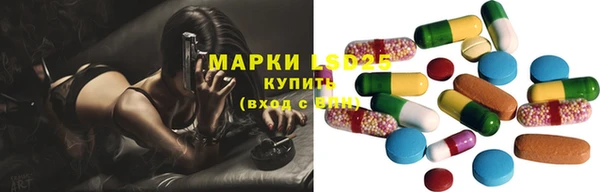 твердый Бородино