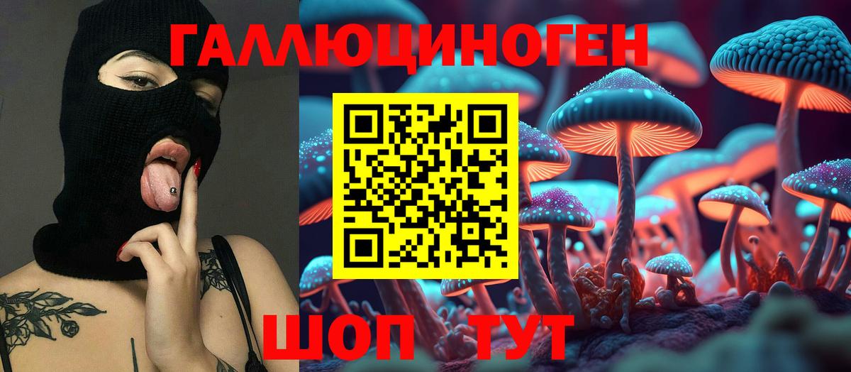 Галлюциногенные грибы Cubensis Каменка
