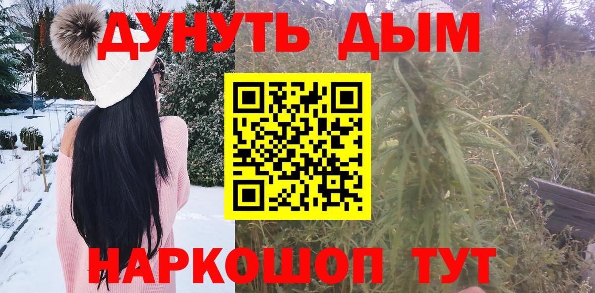 Бошки Шишки планчик  Шишки марихуана план  Вход с VPN  Бошки марихуана AK-47  Каменка 